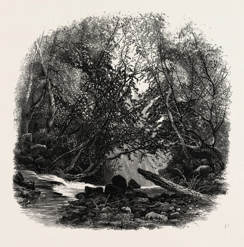 Head of the Staubbach, Bernese oberland, Berner Oberland, Switzerland, 19th century engraving