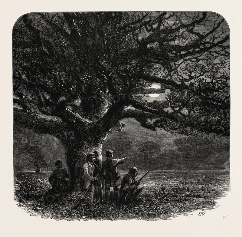 The Watch Oak, Windsor, UK, U.K., Britain, British, Europe, United Kingdom, Great Britain, European, 19th century engraving