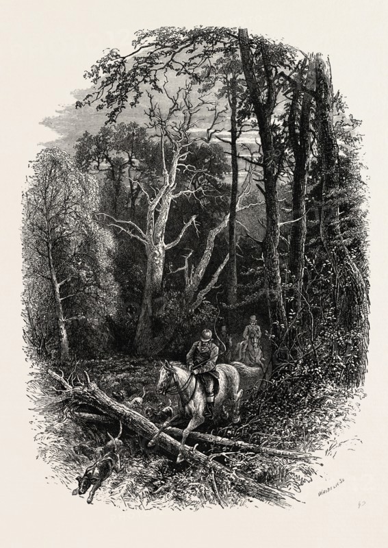 In Cedar Walk, Virginia Water, Windsor, UK, U.K., Britain, British, Europe, United Kingdom, Great Britain, European, 19th century engraving