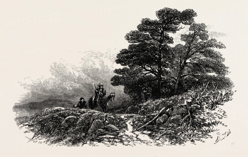 Mountain Path near Capel Curig, North Wales, UK, U.K., Britain, British, Europe, United Kingdom, Great Britain, European, 19th century engraving