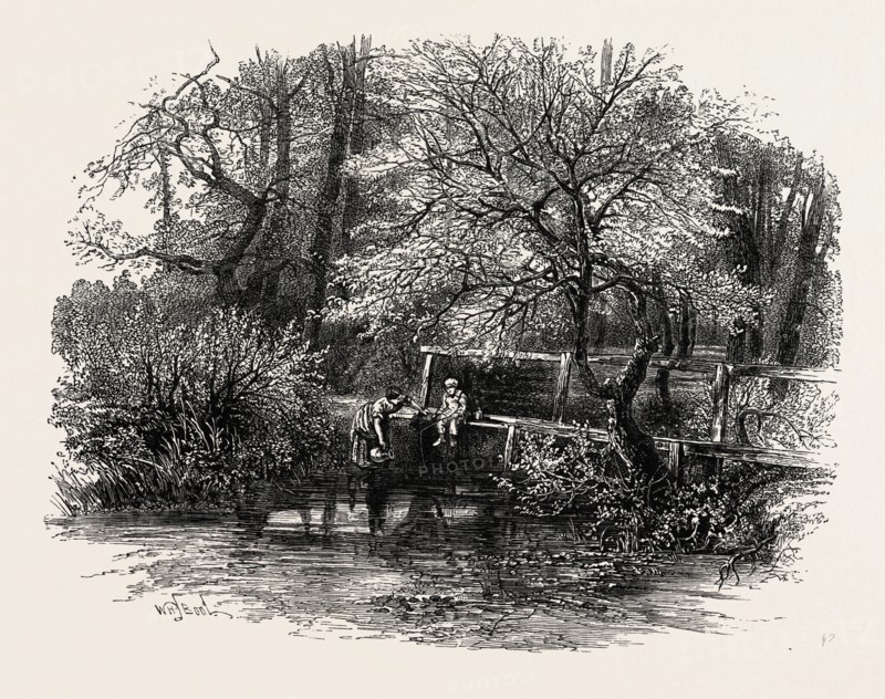 Markeaton Brook, the dales of Derbyshire, country, UK, U.K., Britain, British, Europe, United Kingdom, Great Britain, European, 19th century engraving