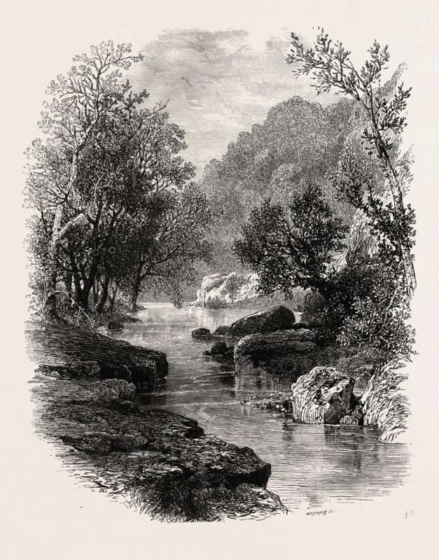 The Valley of the Wharfe, the forest scenery of Great Britain, UK, U.K., Britain, British, Europe, United Kingdom, European, 19th century engraving
