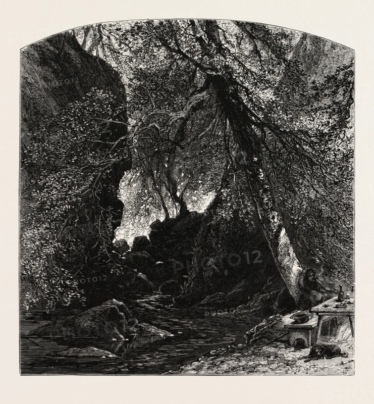 The Dargle, Ireland, Irish, Eire, 19th century engraving