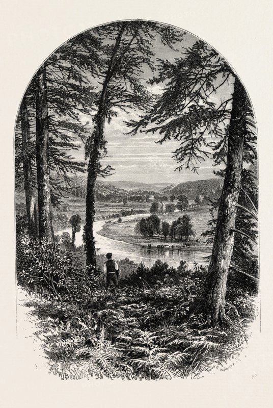 THE VALE OF AVOCA, Ireland, Irish, Eire, 19th century engraving