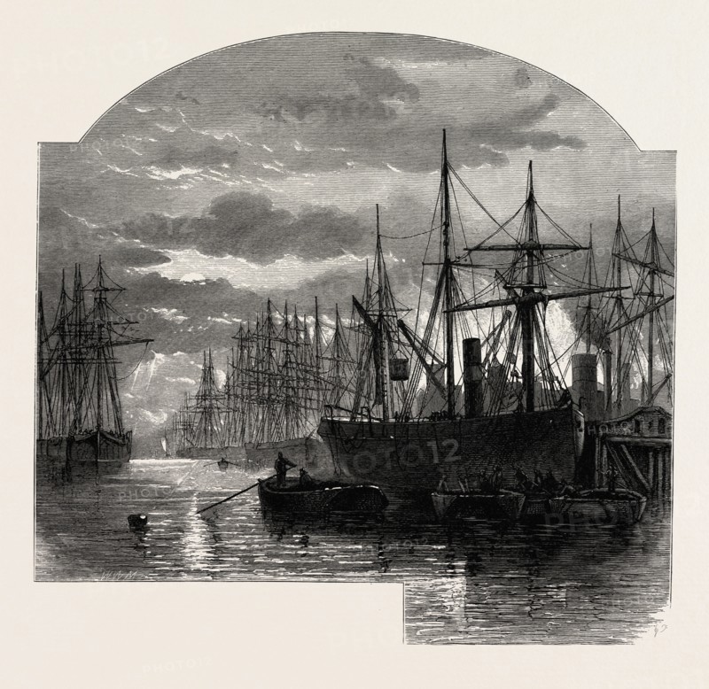 In the Pool , Colliers unloading, SCENERY OF THE THAMES, UK, U.K., Britain, British, Europe, United Kingdom, Great Britain, European, 19th century engraving