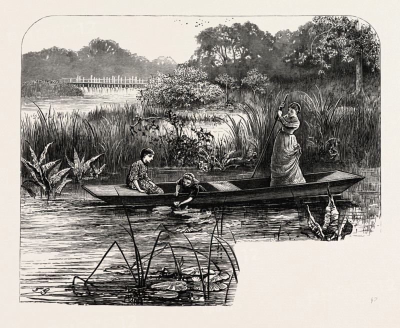 Near Pangbourne, SCENERY OF THE THAMES, UK, U.K., Britain, British, Europe, United Kingdom, Great Britain, European, 19th century engraving