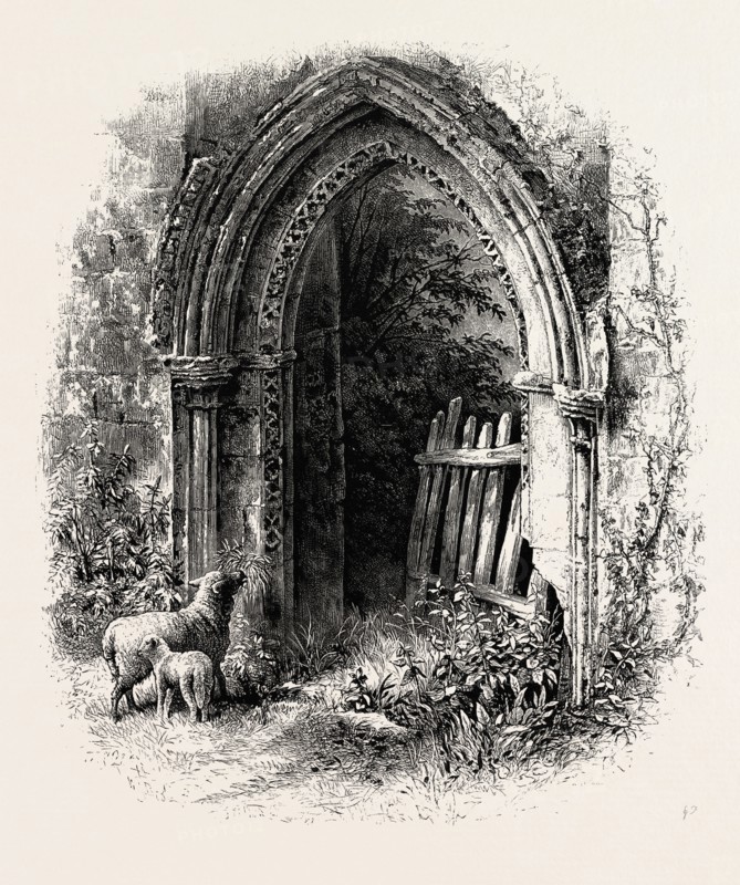 Doorway at Rivaux Abbey, UK, U.K., Britain, British, Europe, United Kingdom, Great Britain, European, 19th century engraving