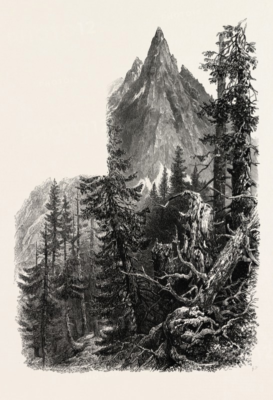 The Aiguille du Dru, Switzerland, 19th century engraving