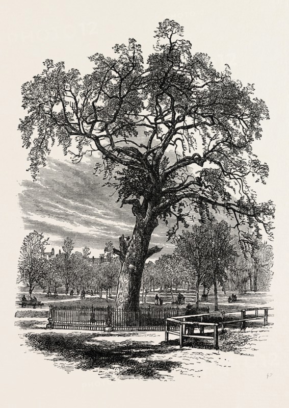 BOSTON COMMON, UNITED STATES OF AMERICA, US, USA, 1870s engraving
