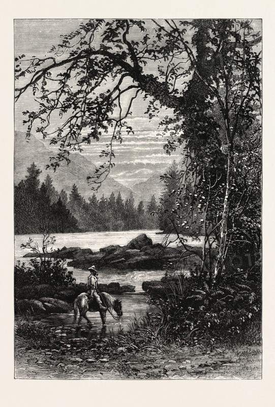 VIEW IN NORTH CAROLINA, UNITED STATES OF AMERICA, US, USA, 1870s engraving