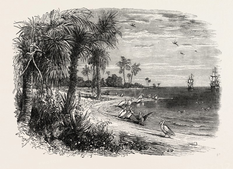 VIEW ON THE COAST OF FLORIDA, UNITED STATES OF AMERICA, US, USA, 1870s engraving