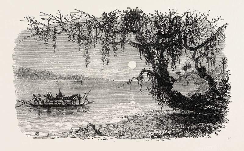 VIEW ON THE ASHLEY RIVER, UNITED STATES OF AMERICA, US, USA, 1870s engraving