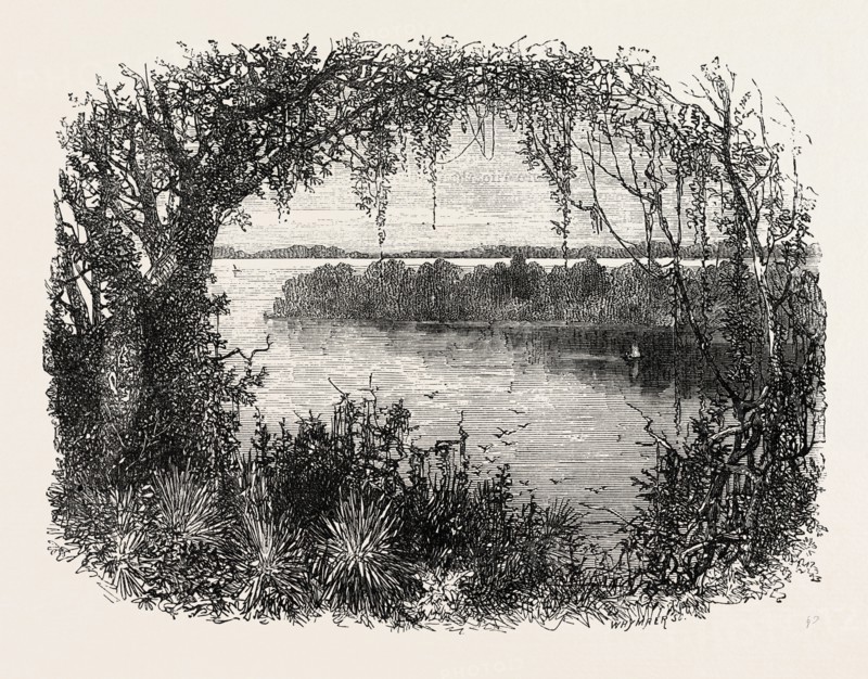 A VISTA IN SOUTH CAROLINA, UNITED STATES OF AMERICA, US, USA, 1870s engraving