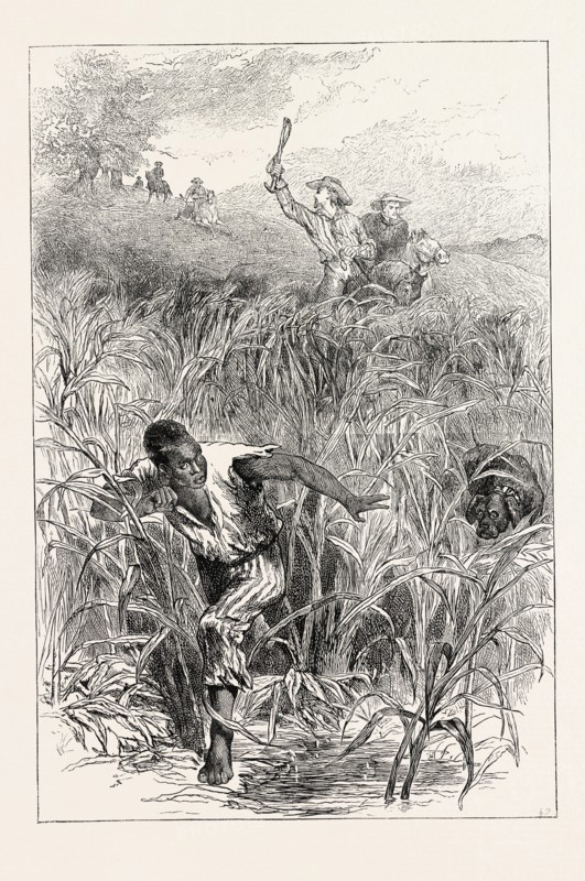 A SLAVE HUNT, UNITED STATES OF AMERICA, US, USA, SLAVERY, 1870s engraving