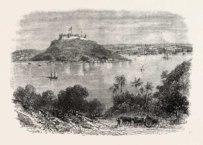 HAVANNAH HARBOUR, SHOWING WHERE THE FIFTY INVADERS WERE SHOT, 1870s engraving