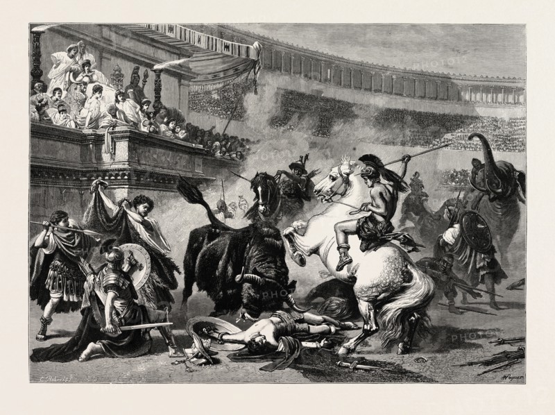 A BULL FIGHT
