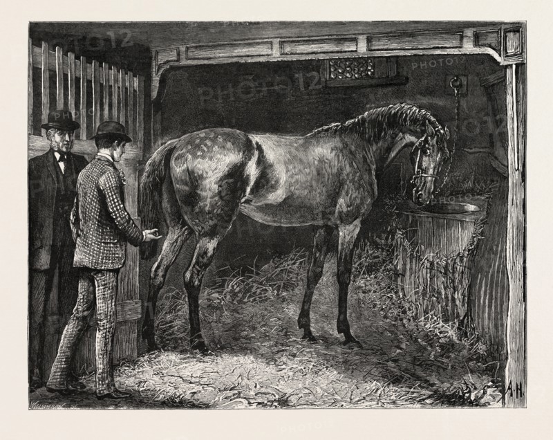 DRAWN BY ARTHUR HOPKINS, HORSE, STABLE, engraving 1884, life in Britain, UK, britain, british, europe, united kingdom, great britain, european