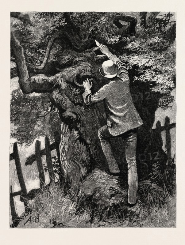 DRAWN BY ARTHUR HOPKINS, THE TREE, engraving 1884, life in Britain, UK, britain, british, europe, united kingdom, great britain, european