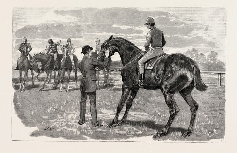 DRAWN 'BY JOHN CHARLTON, HORSE, engraving 1884, life in Britain, UK, britain, british, europe, united kingdom, great britain, european, art, artist, horse