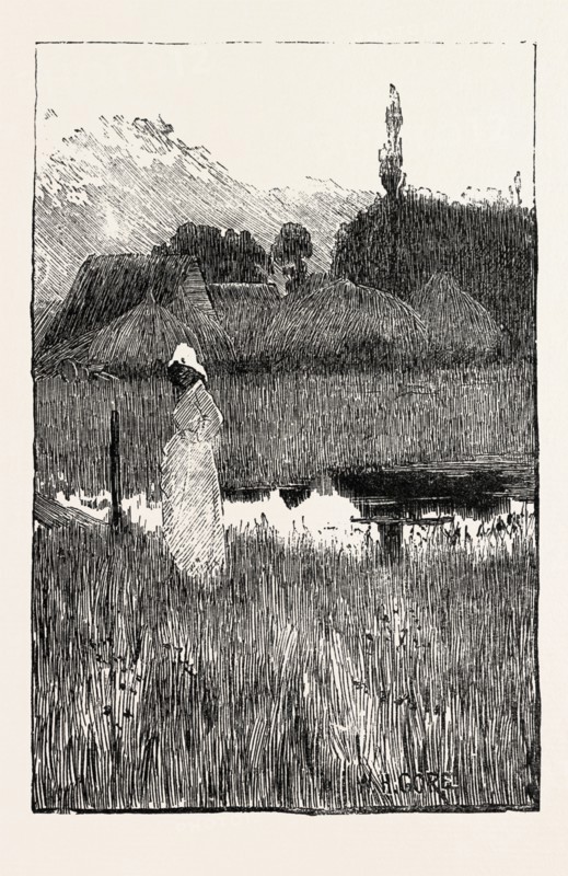 WAITING. W. Henry Gore., engraving 1884