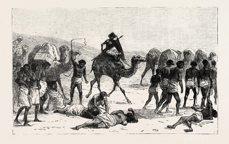 SHE WAS THEN TAKEN ACROSS THE DESERT TO THE RED SEA, engraving 1884, SLAVE TRADE, SLAVE, SLAVERY, SLAVES, SOCIAL ISSUE, SOCIAL ISSUES