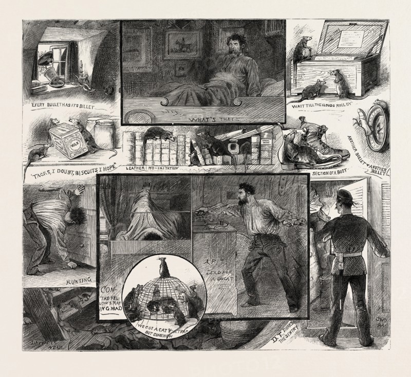 RATS ON BOARD SHIP A MIDNIGHT FANTASY, ENGRAVING 1884