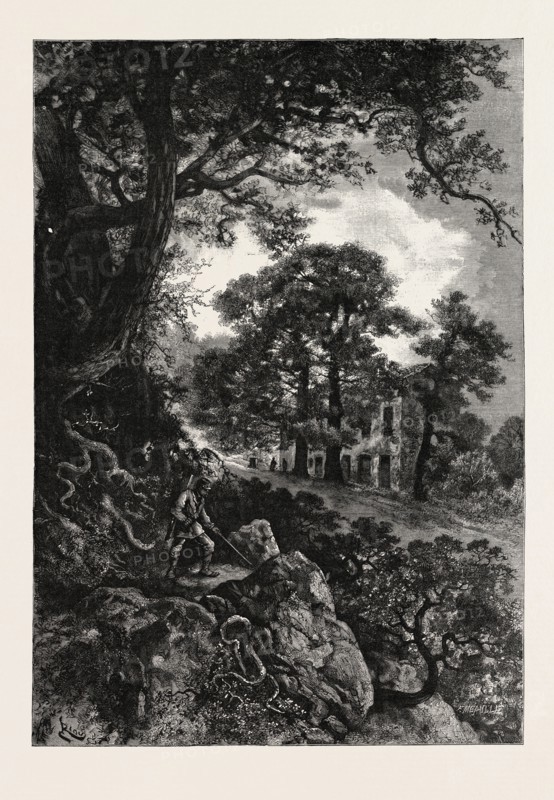 L'AUBERGE DES ADRETS, ON THE ROAD FROM FREJUS TO CANNES , ENGRAVING 1882