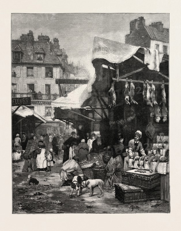 THE OLD GAME AND POULTRY MARKET IN PARIS, RANCE, ENGRAVING 1882