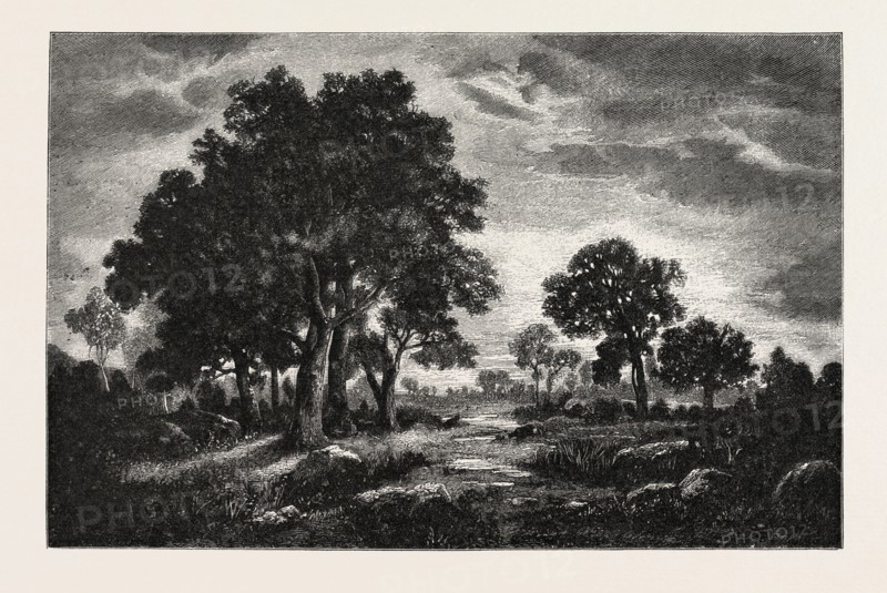 AT FONTAINEBLEAU, FRANCE,  ENGRAVING 1882