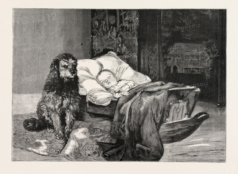 THE GORILLA AND CHIMPANZEE AT THE CRYSTAL PALACE, LONDON, ENGRAVING 1879, UK, britain, british, europe, united kingdom, great britain, european