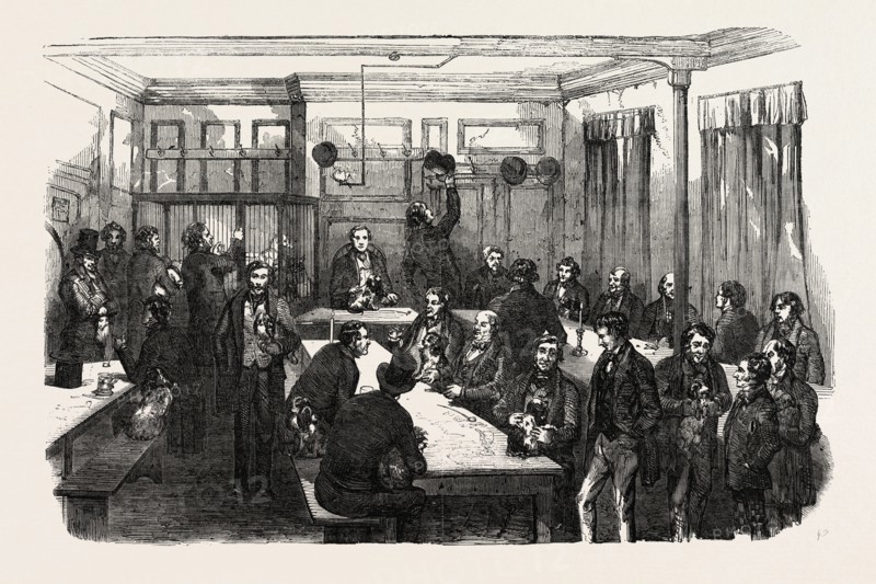 FANCY DOG SHOW, 1851 engraving