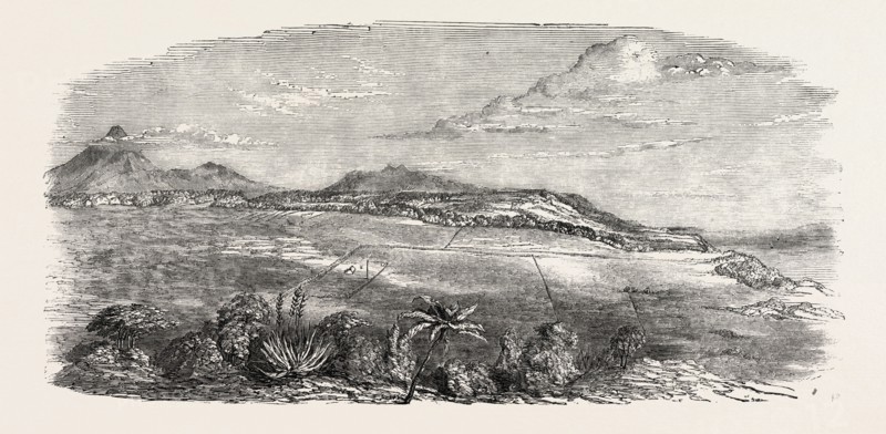 CROFTON PARK, OMATA DISTRICT, NEW ZEALAND, 1851 engraving