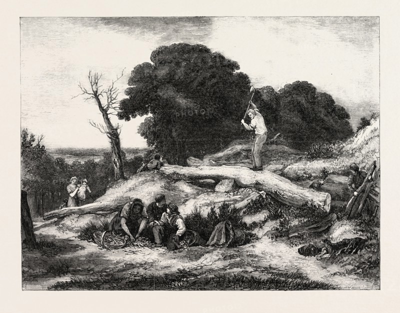 EXHIBITION OF THE BRITISH INSTITUTION: CHIPS, PAINTED BY JOHN LINNELL, 1792-1882, 1851 engraving