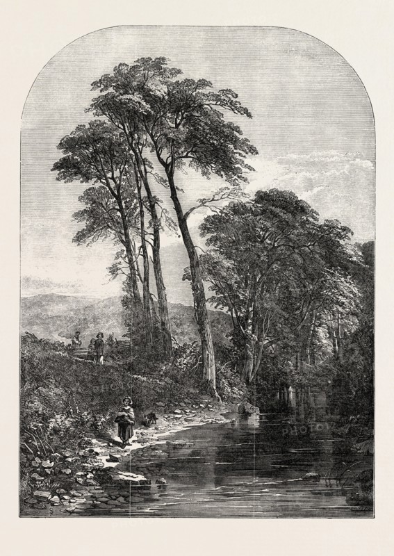 THE MOORLAND STREAM, PAINTED BY H. JUTSUM, EXHIBITION OF THE BRITISH INSTITUTION, UK, 1851 engraving