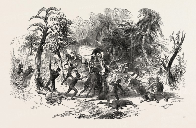 ATTACK ON COLONISTS' WAGGON, BY KAFFIRS, SOUTH AFRICA, 1851 engraving