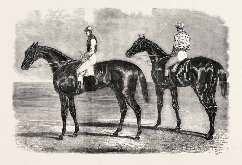 YORK SPRING MEETING, GREAT NATIONAL MATCH FOR Â£1000; HORSE ON THE LEFT: FLYING DUTCHMAN, THE WINNER; HORSE ON THE RIGHT: VOLTIGEUR, UK, 1851 engraving