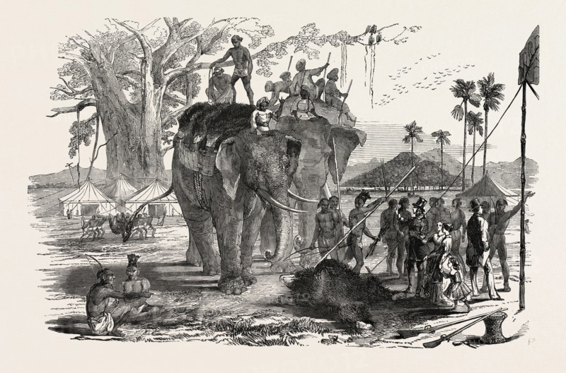 HIGH LAND OF BEERBHOOM, A PARTY, INCLUDING TWO ELEPHANTS, RETURNING FROM BEAR-SHOOTING, BIRBHUM, INDIA, 1851 engraving
