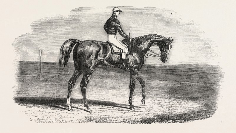 ASCOT RACES: WOOLWICH, THE WINNER OF THE EMPEROR'S VASE; Little Jack made all the running, Woolwich waiting on him into the distance, and winning cleverly by a length, amidst loud cheers from a division of the Ring, and a profound silence amongst the aristocracy. Woolwich is understood to be the property of Messrs. Bland, Saxon, and Barber; UK, HORSE RACING, EQUESTRIAN, 1851 engraving