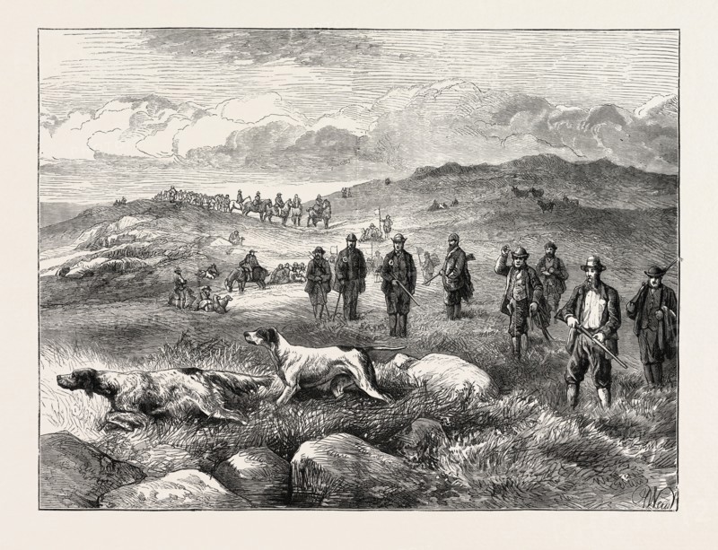 POINTER AND SETTER GROUSE TRIALS AT RHIWLAS, NORTH WALES: GENERAL VIEW OF THE GROUND, UK, 1873 engraving