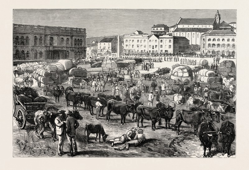 THE EARLY MORNING MARKET, PORT ELIZABETH, CAPE COLONY, SOUTH AFRICA
