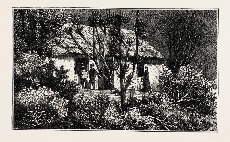 A COTTAGE IN THE BUSH, CAPE COLONY, SOUTH AFRICA