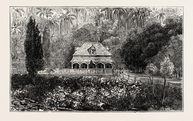 VIEWS IN SANTIAGO DE CUBA: A CUBAN MERCHANT'S COUNTRY SEAT, CUBA, 1873 engraving