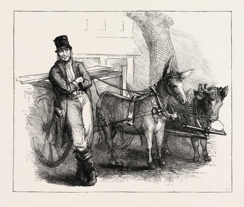 CHARACTER SKETCHES IN NORTH CAROLINA, UNITED STATES OF AMERICA: A TEAM, NOT A PAIR, US, USA, 1873 engraving