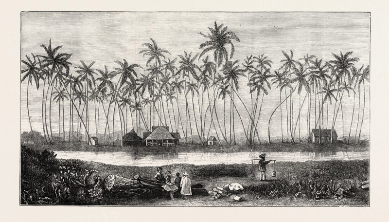THE SUMMER RESIDENCE OF THE LATE KING KAMEHAMEHA V. AT WAIKIKI, 1873 engraving