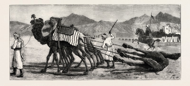 THE CAMPAIGN IN AFGHANISTAN: A CAMEL'S FUNERAL PROCESSION