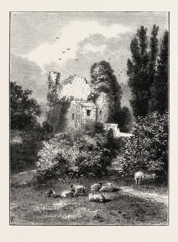 REMAINS OF ANCIENT CASTLE, HAWARDEN PARK, WALES, UK
