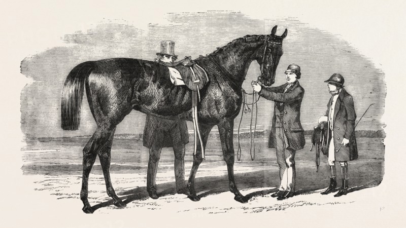 RUPEE, THE WINNER OF THE ASCOT CUP, UK, 1860 engraving