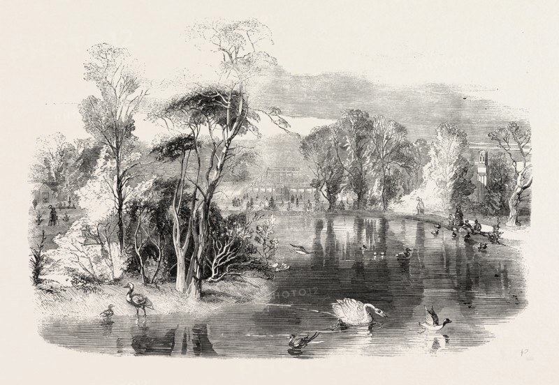 THE NEW LAKE, KEW GARDENS, LONDON, UK, 1860 engraving