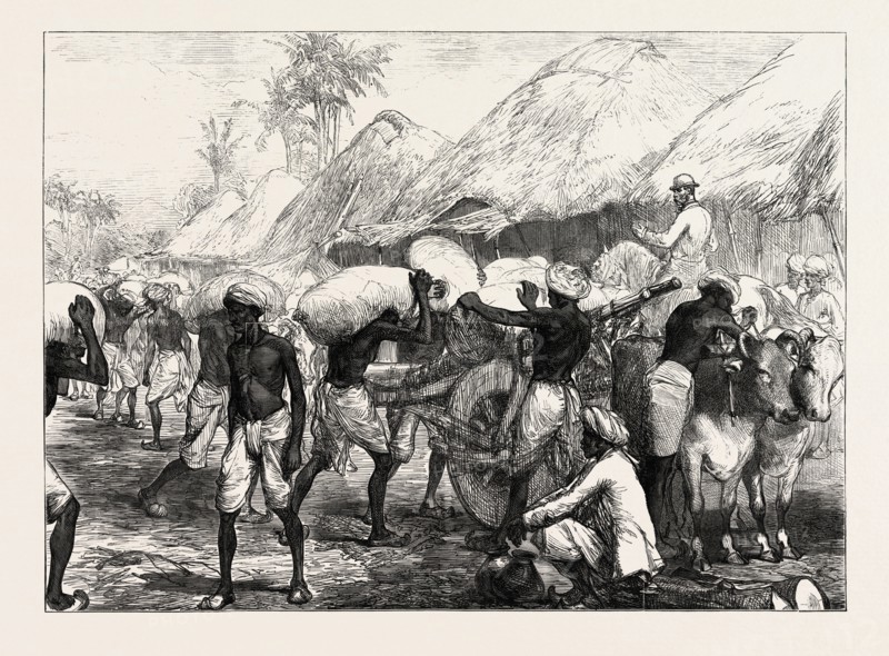 THE FAMINE IN BENGAL: LOADING GRAIN CARTS NEAR CALCUTTA