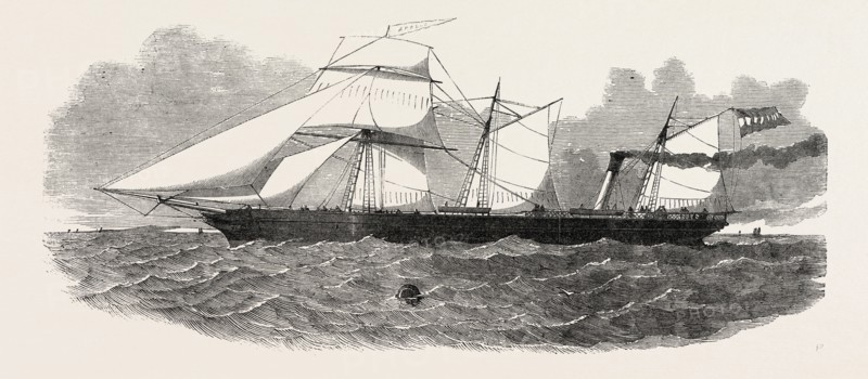 THE LONDON AND ROTTERDAM SCREW STEAMER, "APOLLO"